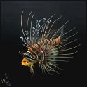 Pazifischer Rotfeuerfisch; Acryl auf Leinwand;
120 x 120 cm
